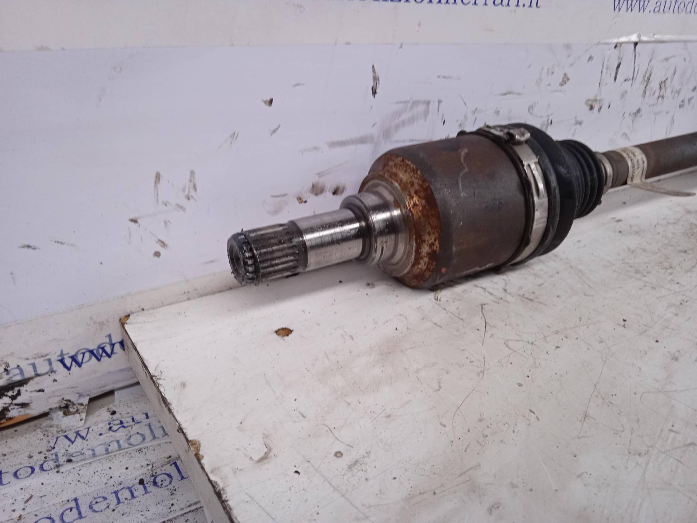 Semialbero ant. compl. sx.